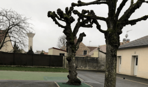 Ecole