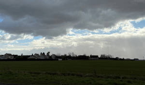 Paysage plaine