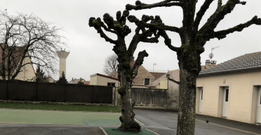 Ecole